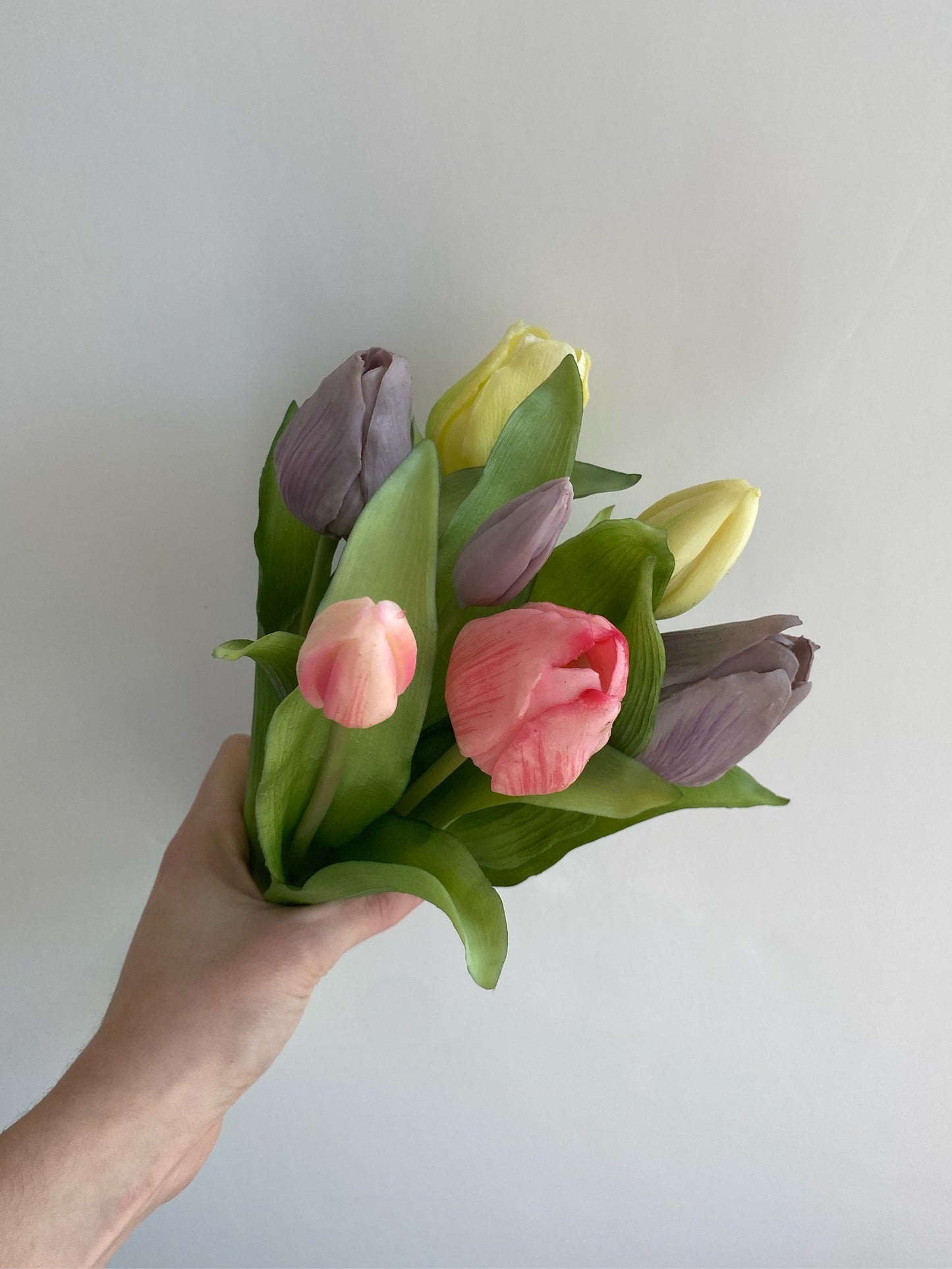 Tulpen pastel