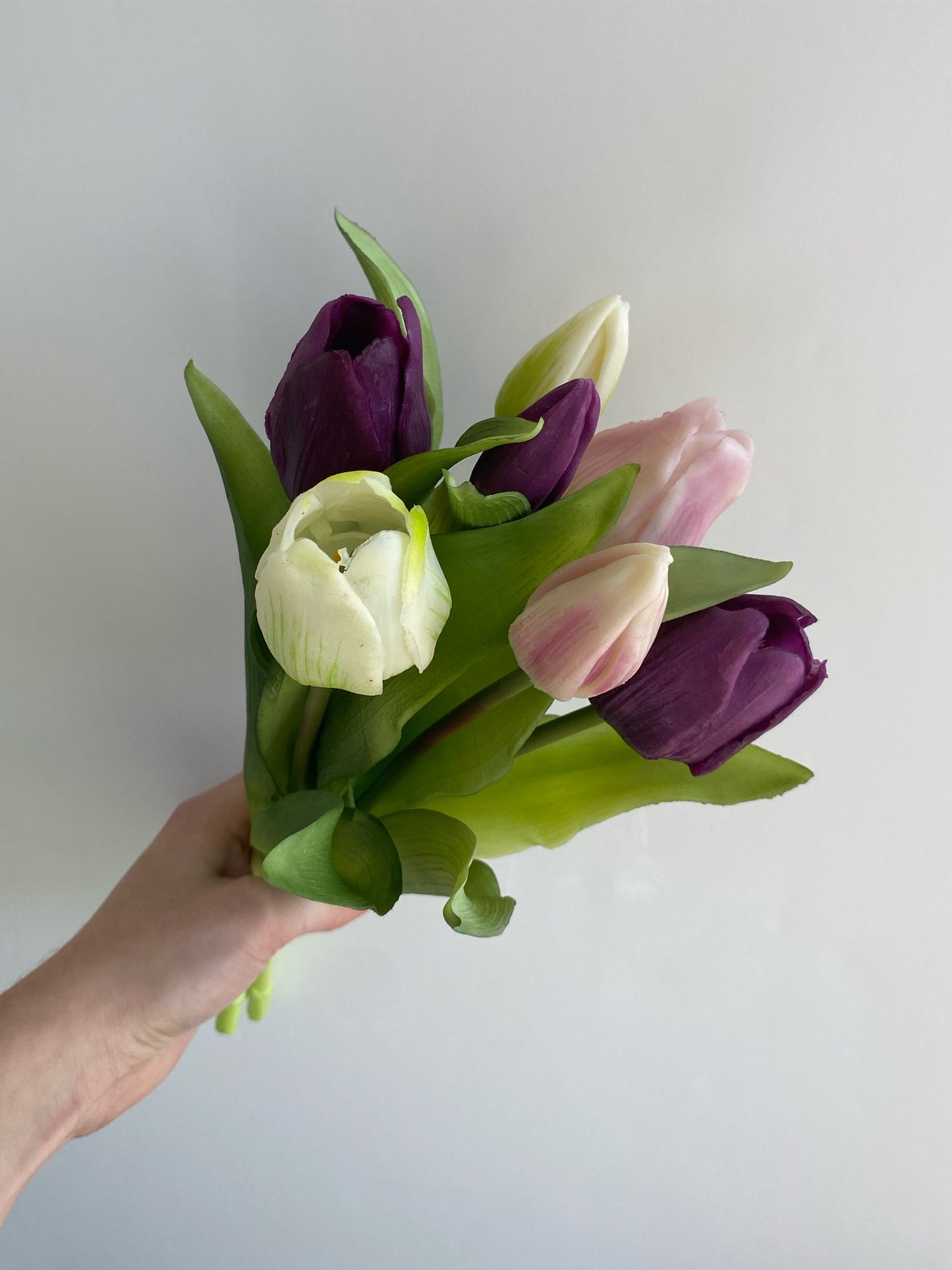 Tulpen paars mix