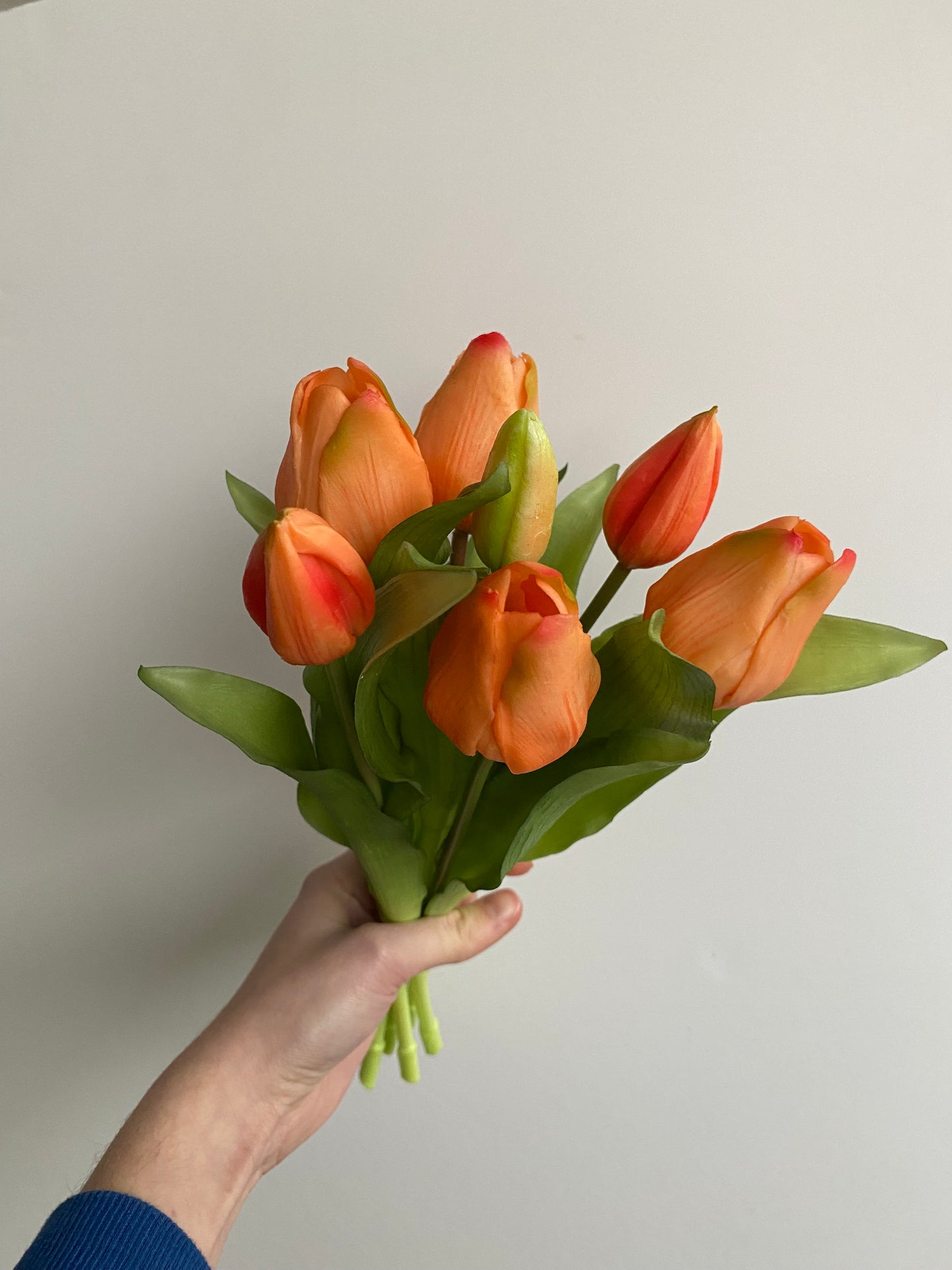 Tulpen licht oranje