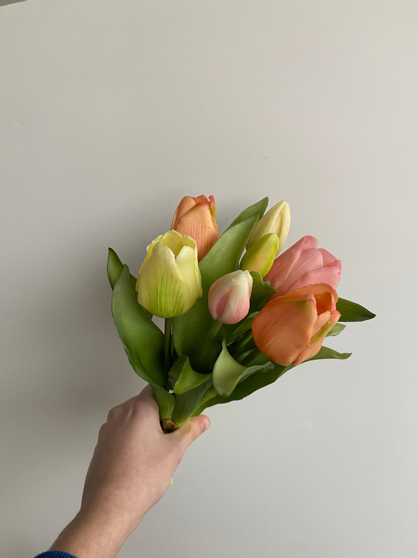 Tulpen pastel mix