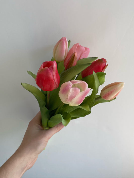 Tulpen roze mix