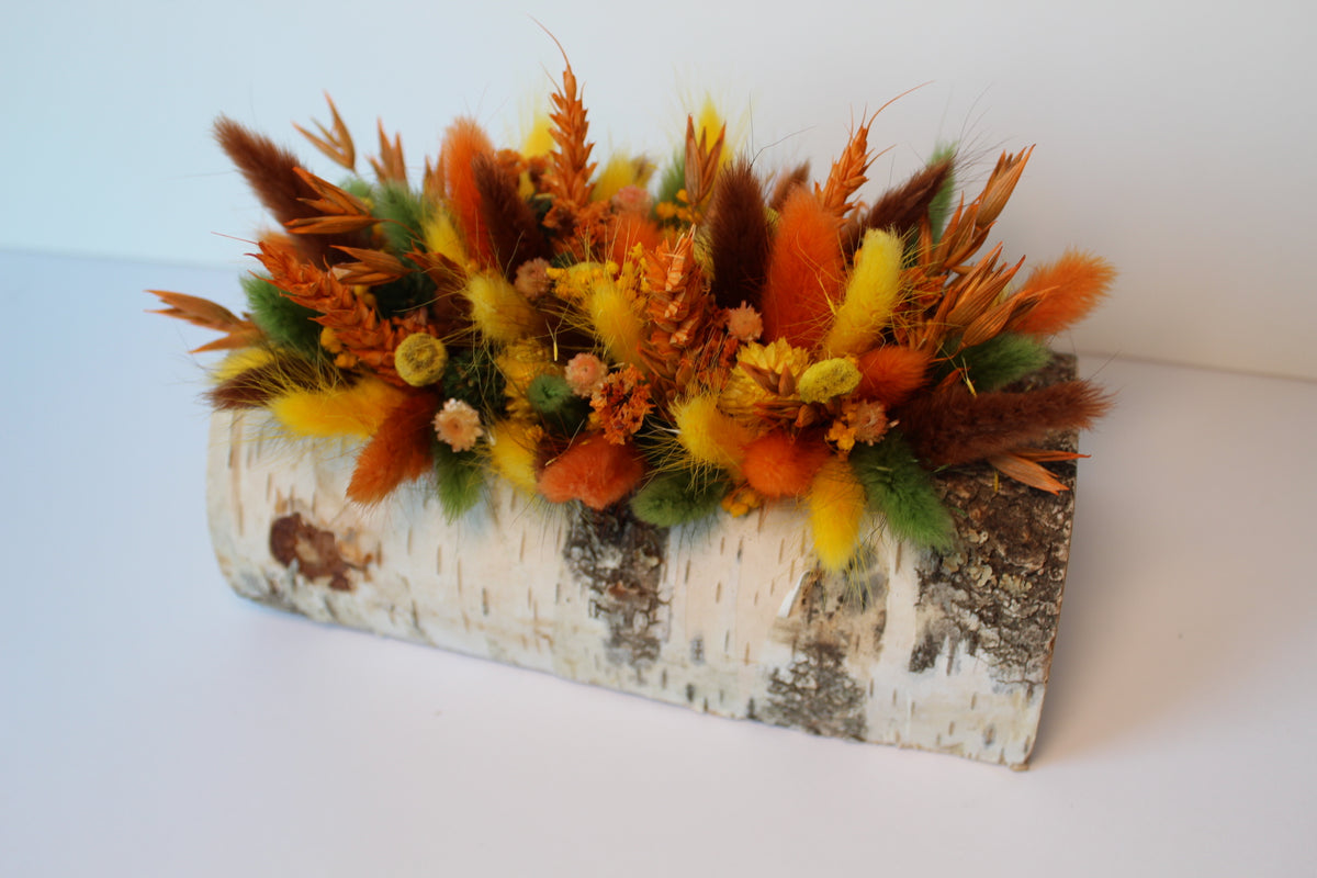 Herfst boomstam