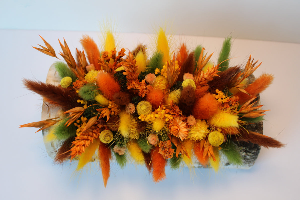 Herfst boomstam