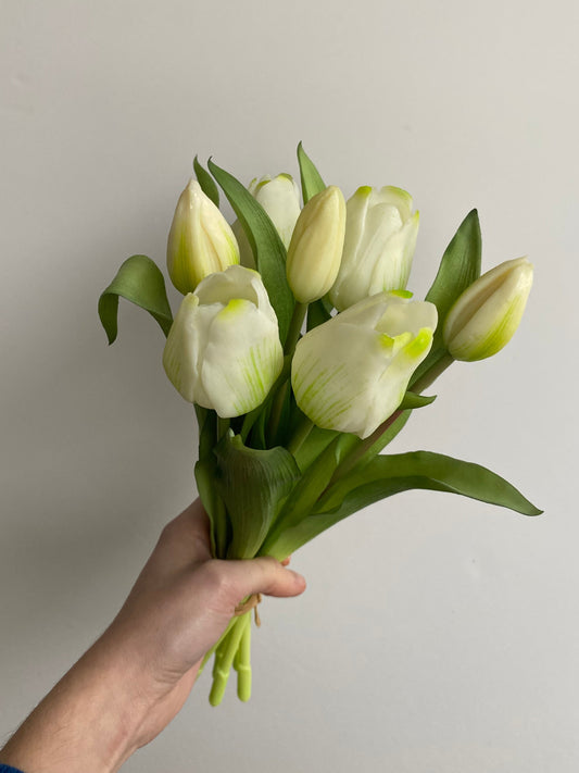 Tulpen wit