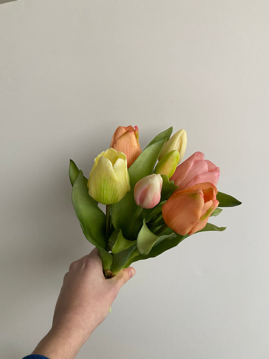 Tulpen pastel mix