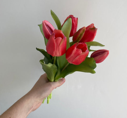 Tulpen rood-donker roze